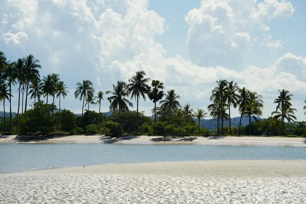 Comment organiser un camping pour une expédition de kayak sur le fleuve Amazone en période de crue?